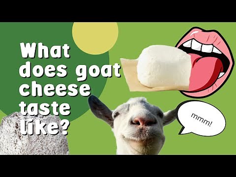 What Does Goat Cheese Taste Like? (The Science of Flavour)