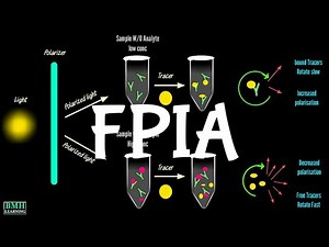 Fluorescence Polarisation Immunoassay | FPIA |