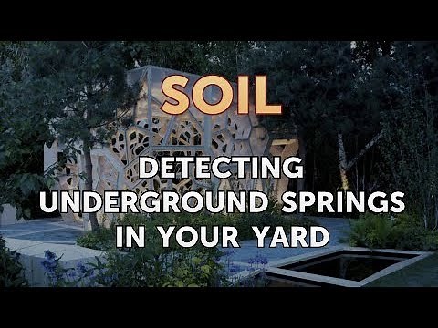 Detecting Underground Springs in Your Yard