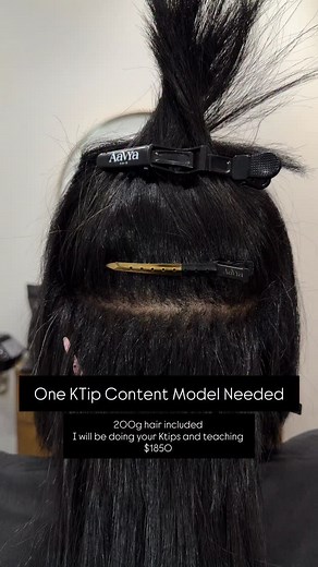 MICRO KTIP CONTENT MODELS NEEDED!! November 24th Dec 7th & 8th I will be doing your install and instructing a few students as well. You can do wavy, curly, kinky curly, or kinky straight textures. Typically my invisible micro ktips start at $4500 content models will pay $1850 and it includes up to 20” of hair.(longer lengths are more) NO COLOR UNLESS WE SRE USING PRECOLORED HAIR. Click the link in my bio to sign up or dm me for more info #ktips #ktipmodel | BecomingChanel