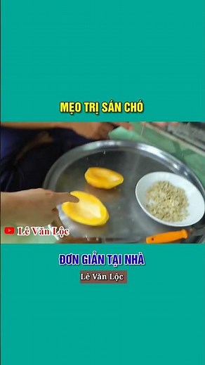 Trị Sán Chó Đơn Giản Tại Nhà Hiệu Quả #shorts