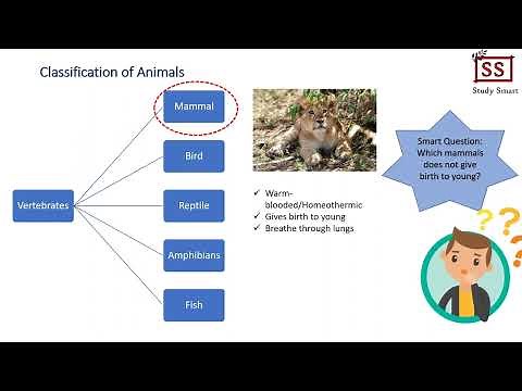 Science Form 2 Chapter 1 (Biodiversity)