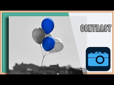 Principles of Art: CONTRAST in Photography