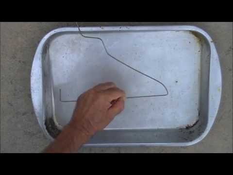 Easiest Live Mouse Trap....EVER!