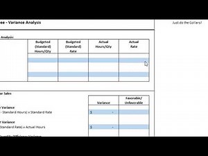 ACC202 Project: Variance Analysis