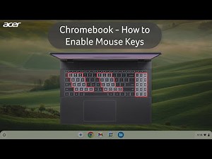 Chromebook - How to Enable Mouse Keys