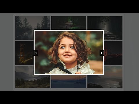 How To Make Image Gallery Using HTML, CSS & JavaScript | Lightbox Gallery