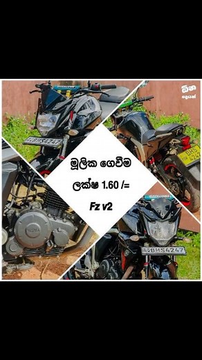 90K views · 1.4K reactions | 홁홯 홫ퟮ ▫️ BHS #### number 2019 ▫️ සියලු...