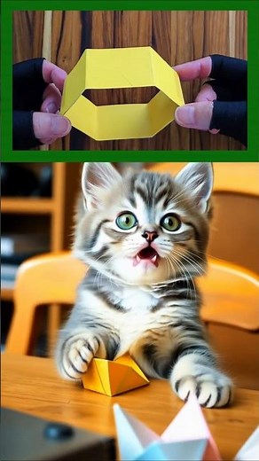 Origami paper magic 折り紙ペーパートリック