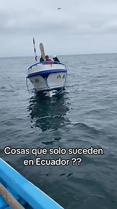 El humilde ecuatoriano no se muere de hambre. | Radio Record 106.5fm