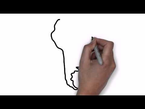 How To Draw Map Of South America