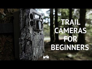 The ultimate guide to trail cameras for beginners: Everything you need to know!