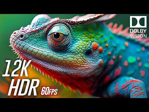 Experience The Ultimate Visuals: Dolby Vision 12k HDR 60fps at Maximum Brightness