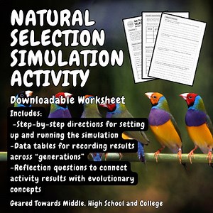 Natural Selection Simulation Activity – Engaging Hands-On Evolution Lesson