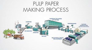 How paper is made