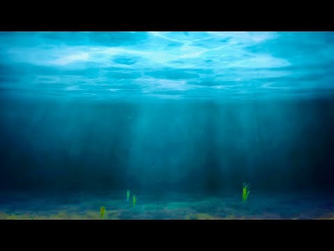 Magical underwater ocean light God rays animated background video, No Copyright || Nature background