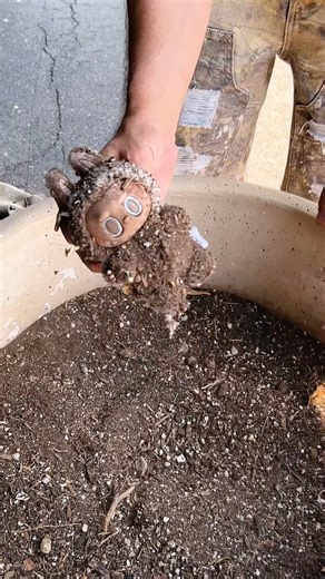 3.9K views | Don’t know how to clean your boo’s Labubu? We got you ‍↕️ the Reshoevn8r all-natural solution brings a guaranteed clean to your most-prized possessions from kicks to collectibles. Clean with the best, only at Reshoevn8r.com | Reshoevn8r | Facebook