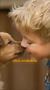 The Unbreakable Bond Between Dogs and Humans 🐶 | Part 1