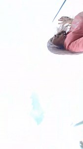 36K views · 1.6K reactions | Turtle Attack!!! #wildlife #nature #outdoor #WildlifeEncounters | South Alabama Cooking | Facebook