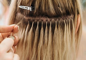 A Complete Guide to Microlink Extensions