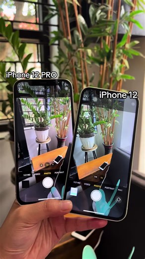 iPhone 12 vs iPhone 12 Pro Camera Comparison | Quality Review