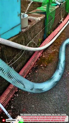 Best Innovative Vacuum Fish Pump Machine Tool for Fast Transfer #innovative