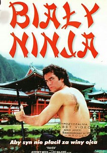 Raven TV Series (1992-1994), Watch Full Episodes of All Seasons Online