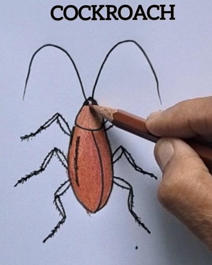 How to draw a cockroach easily / cockroach easy drawing