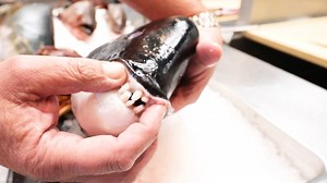 1.4M views · 756 reactions | What a $240 tasting menu looks like at Los Angeles' best seafood restaurant. | Los Angeles Insider | Facebook