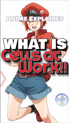 WHAT IS Cells at Work!? | Anime Explained