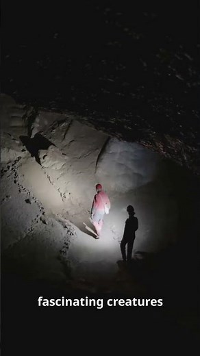 The Fascinating Underground World: How Are Caves Formed? 🌎✨