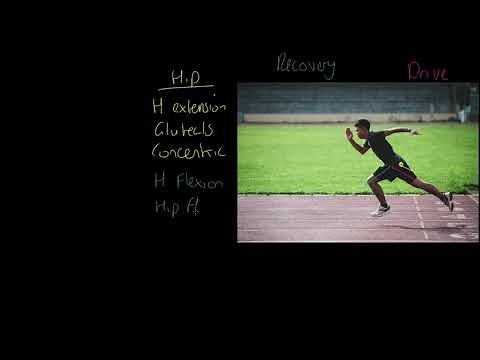 AQA GCSE PE: Movement Analysis