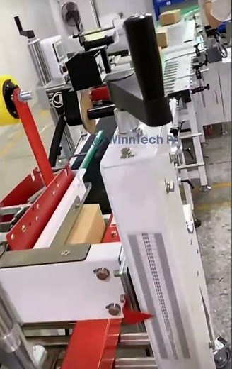 Automatic PE Bagging Machine + Robotic Loading + Case Packer