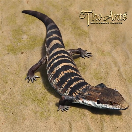 🎁This week's gift code: WH4T0UX4C9 (official website only) Redemption link: https://theants.allstarunion.com/en/convert The Ants Mini-Quiz🍀: Can the Rulers attack the Lizard alone? 🙈 👍Of course! 😆No! ✍Share your answer and leave your Game ID in the comments under the post! The mysterious rewards will be sent via Mail within 15 workdays after the event ends (December-15-2025, 23:59:59, UTC 0)🎁 👉Join Discord Chat Now: https://discord.com/invite/theantsofficial 💎Official Website: https://th