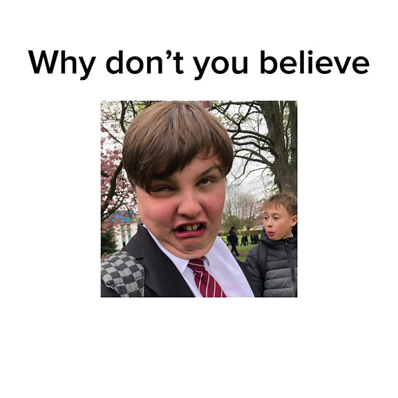 Bee Movie Script Highlights and Key Moments