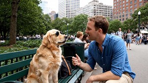 Les 8 meilleurs sites de streaming foot pour voir match en direct