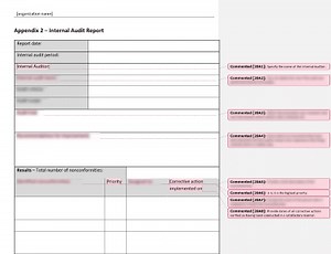Internal Audit Report [ISO 20000 templates]