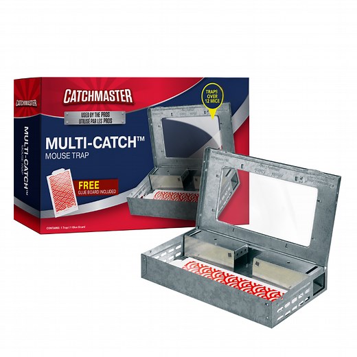 Pro Series Multi-Catch & Glue Mouse Trap Combo