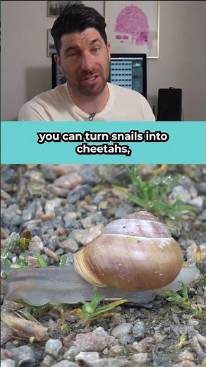 What is Time Lapse Photography