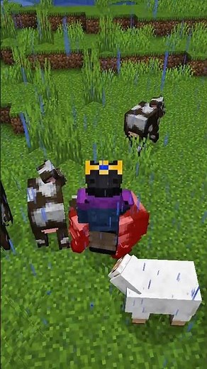 Usefull Secret Commands In Minecraft... #sehar