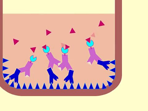 Enzyme-linked Immunosorbent Assay (ELISA): Methodology