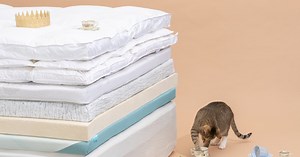 The Best Mattress Toppers