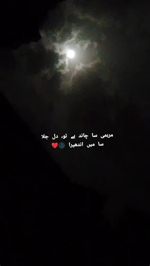 Nemo🐠 (@nemo8394)’s videos with original sound - lyrics_hub