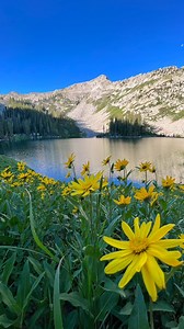 28K views · 304 reactions | Did you know? You can be hiking in Utah’s...