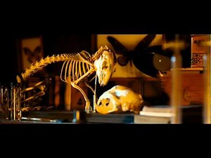 The Spiderwick Chronicles Clip