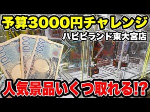 Can I Sweep Popular Prizes with a $3,000 Budget!? A Serious Challenge at Hapipi Land Higashi-Omiy...