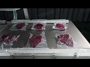 Double Chamber Vacuum Packing Machine Unlock Ultimate Freshness and Quality HVC-720S/2B-G