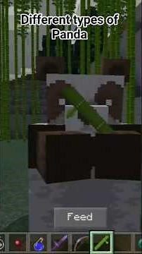 Different types of Panda 🐼🐼#minecraft #LR-GAMER-ON