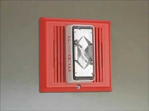 Sound Effect - Edwards Fire Alarm (Loud!)