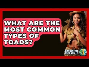 What Are The Most Common Types Of Toads? - Ecosystem Essentials